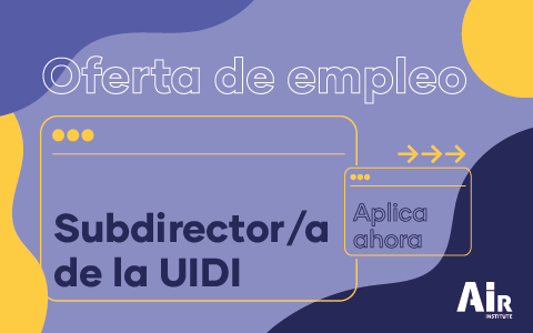 Subdirector/a de la UIDI